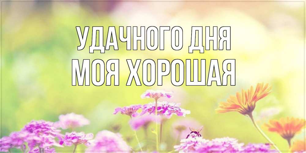 Открытка на каждый день с именем, моя-хорошая Удачного дня красивая открытка с летней темой Прикольная открытка с пожеланием онлайн скачать бесплатно 