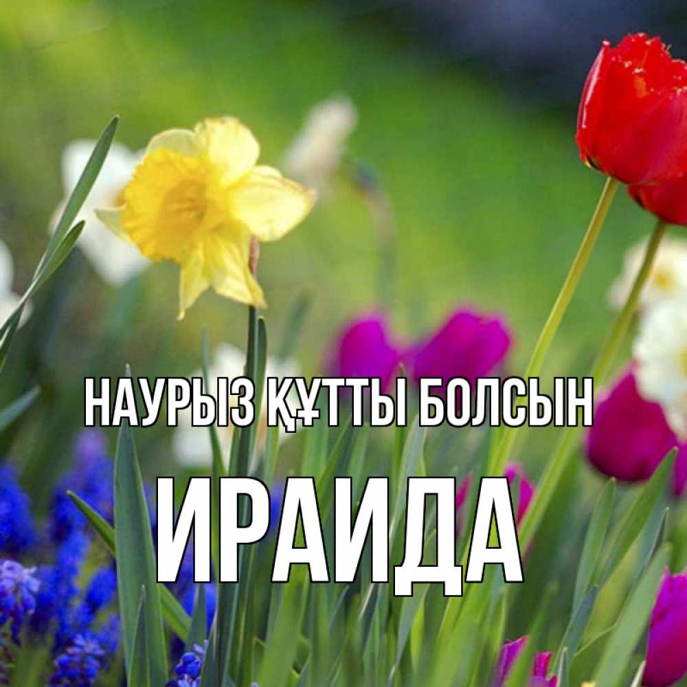 Открытка на каждый день с именем, Ираида Наурыз құтты болсын наурыз  3 открытки Прикольная открытка с пожеланием онлайн скачать бесплатно 