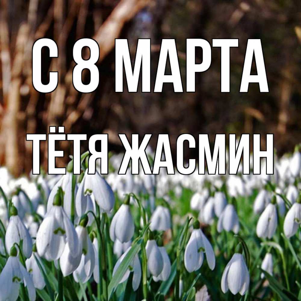 Открытка на каждый день с именем, Тётя-Жасмин С 8 МАРТА с подснежниками 1 Прикольная открытка с пожеланием онлайн скачать бесплатно 