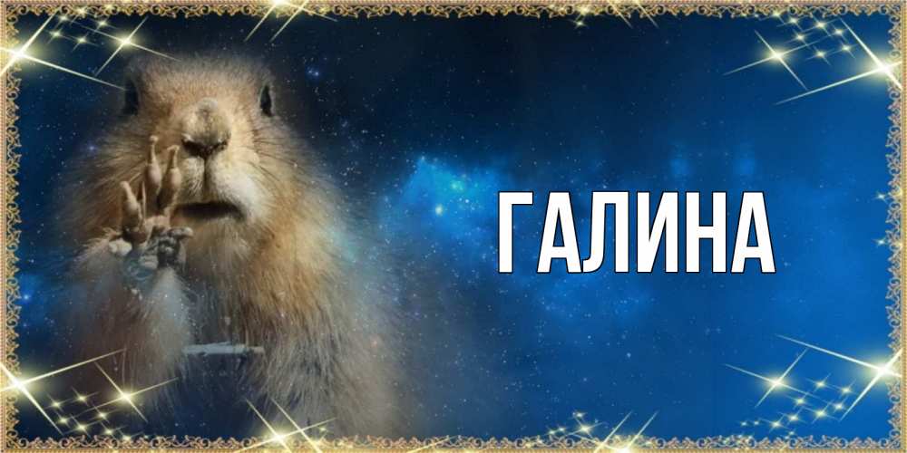 Открытка на каждый день с именем, Галина Главная спокойной ночи сладких снов Прикольная открытка с пожеланием онлайн скачать бесплатно 