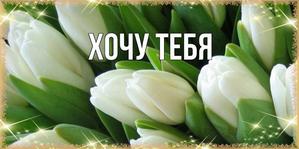 Открытка на каждый день с именем, Хочу-тебя Главная поздравляем с 8 марта Прикольная открытка с пожеланием онлайн скачать бесплатно 