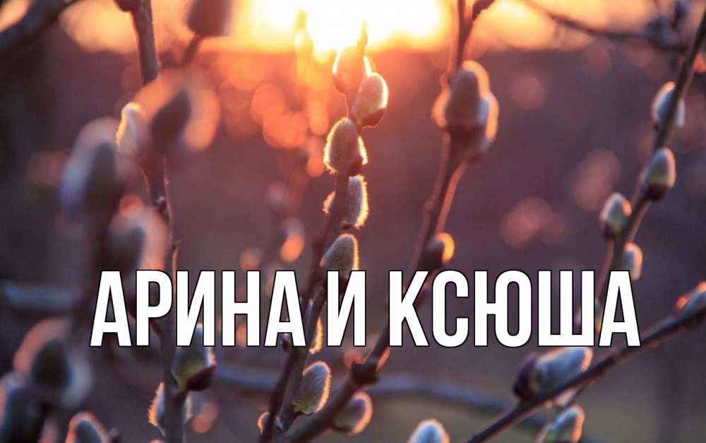 Открытка на каждый день с именем, Арина-и-Ксюша Главная верба Прикольная открытка с пожеланием онлайн скачать бесплатно 