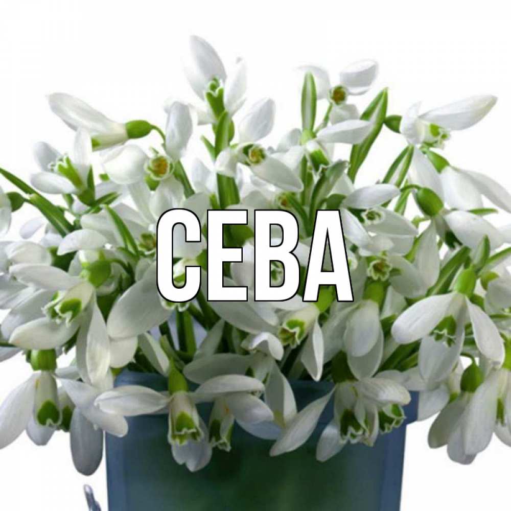 Имя сева