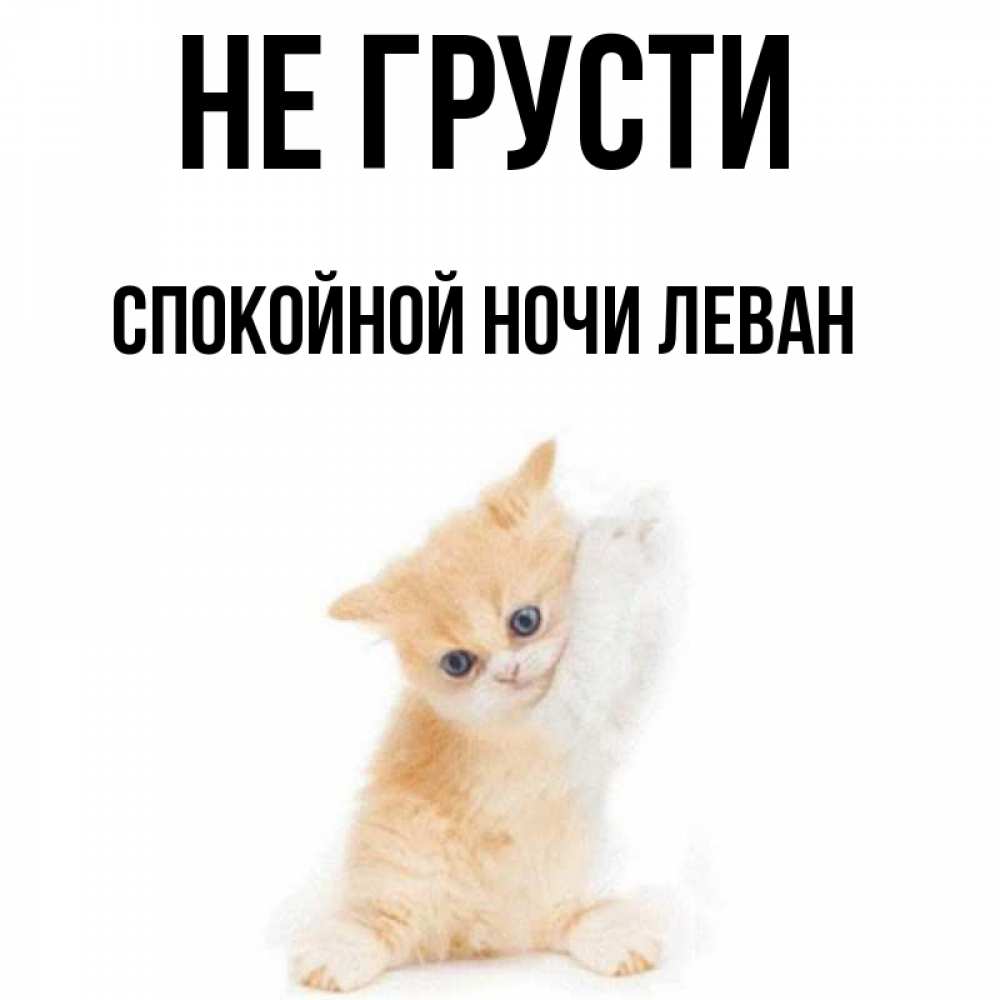 Картинка с надписью любимой кисуле