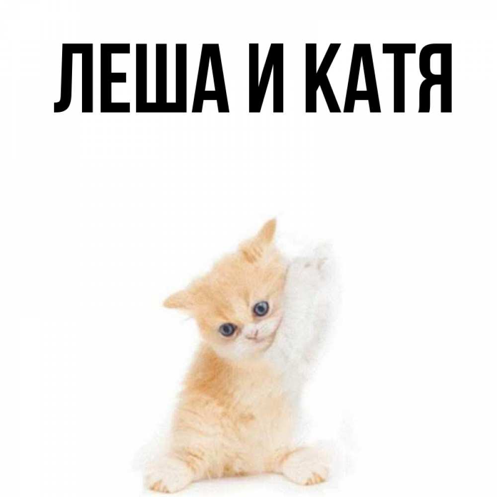 Картинка катюшке привет, пятницей