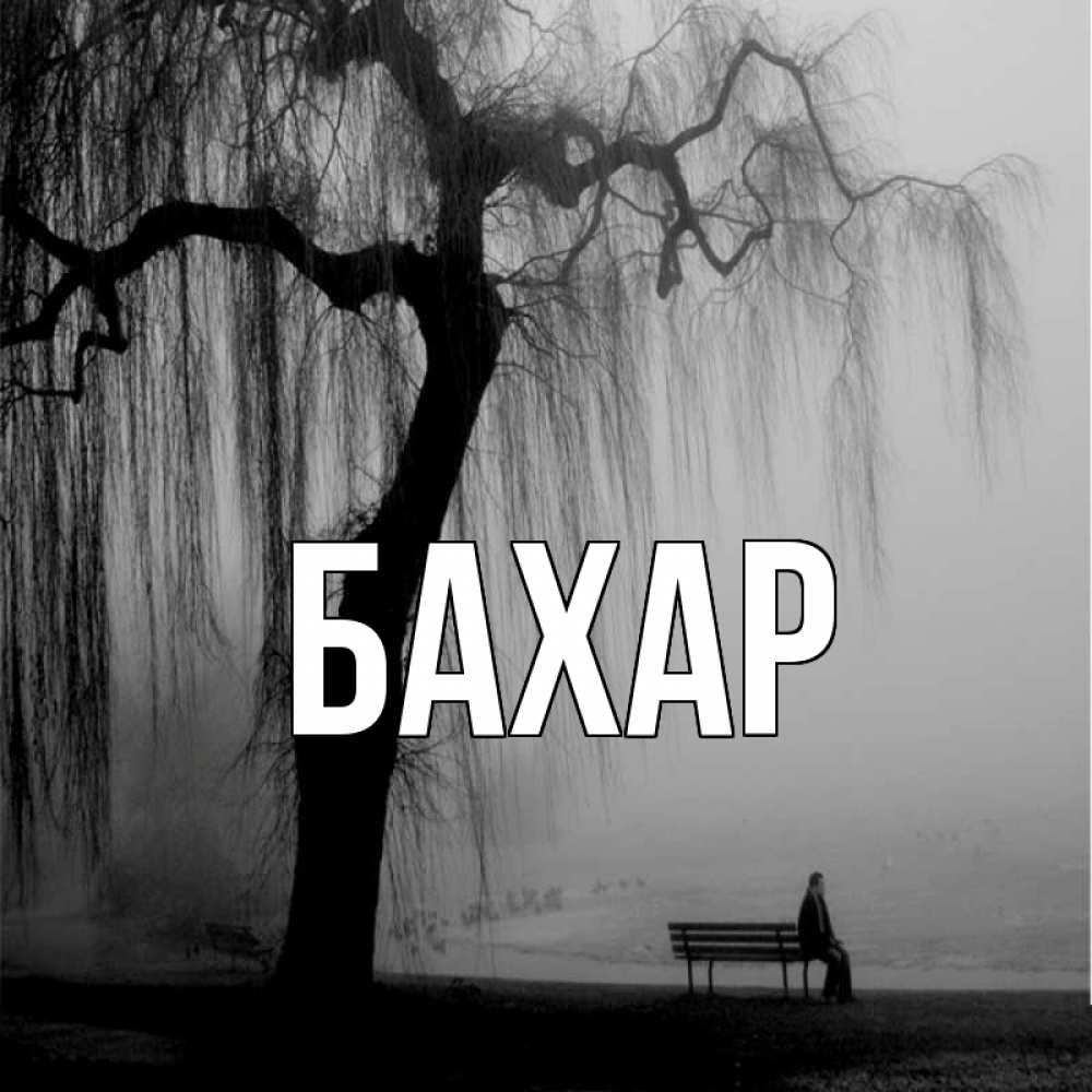 Открытка на каждый день с именем, Бахар Главная висящие ветки дерева и лавочка под деревом Прикольная открытка с пожеланием онлайн скачать бесплатно 