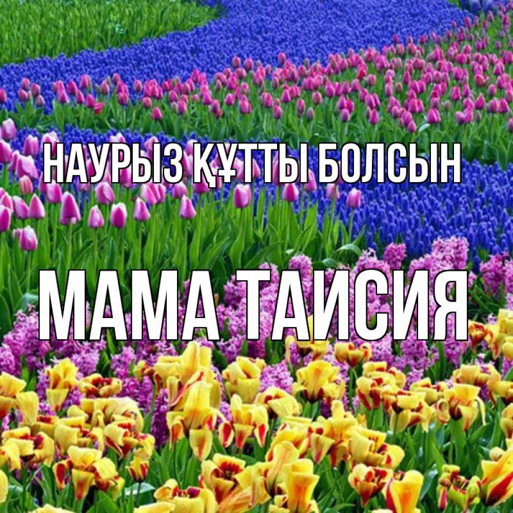 Открытка на каждый день с именем, Мама-Таисия Наурыз құтты болсын цветы Прикольная открытка с пожеланием онлайн скачать бесплатно 