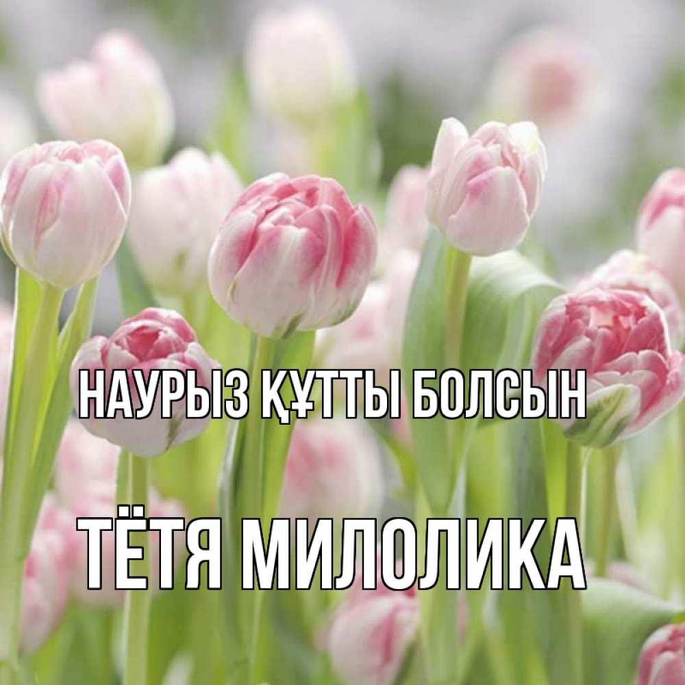 Открытка на каждый день с именем, Тётя-Милолика Наурыз құтты болсын цветы Прикольная открытка с пожеланием онлайн скачать бесплатно 