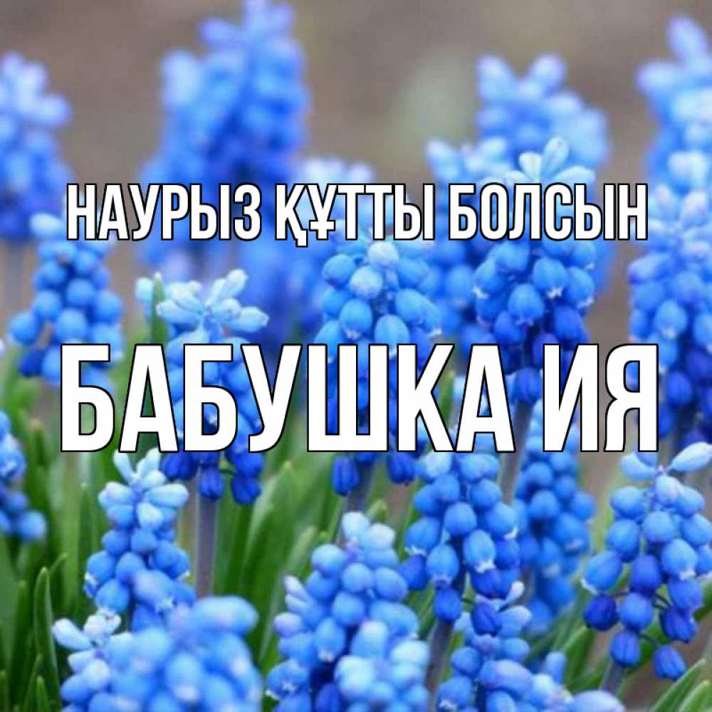 Открытка на каждый день с именем, Бабушка-Ия Наурыз құтты болсын Поздравительная открытка для женщин с цветами на праздничную дату Прикольная открытка с пожеланием онлайн скачать бесплатно 