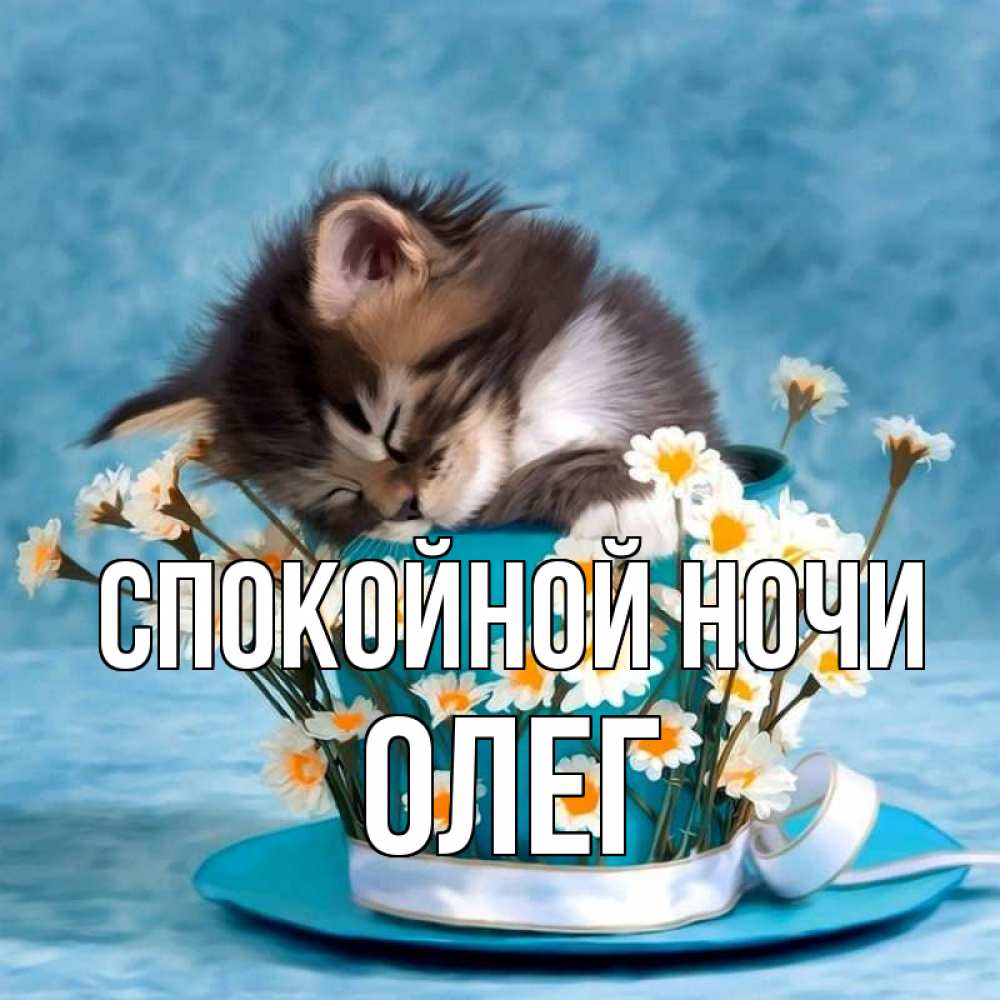 Открытка на каждый день с именем, Олег Спокойной ночи котенок спит в кружке с блюдцем Прикольная открытка с пожеланием онлайн скачать бесплатно 