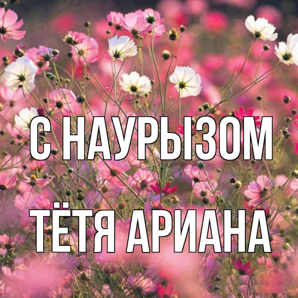 Открытка на каждый день с именем, Тётя-Ариана С наурызом красиво 1 Прикольная открытка с пожеланием онлайн скачать бесплатно 