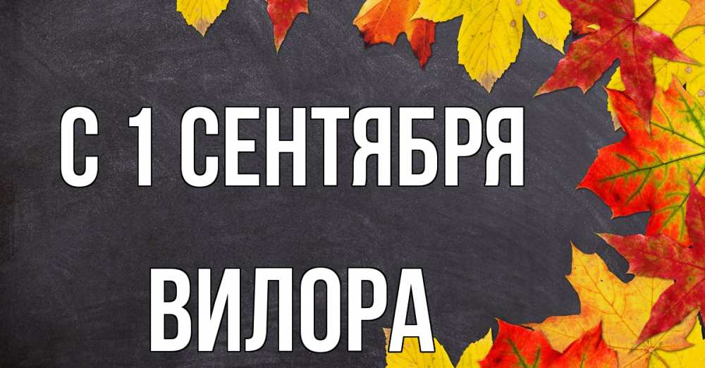Осенние Картинки 1 Сентября