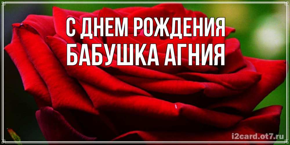 Открытка на каждый день с именем, Бабушка-Агния С днем рождения розочка очень красивая Прикольная открытка с пожеланием онлайн скачать бесплатно 