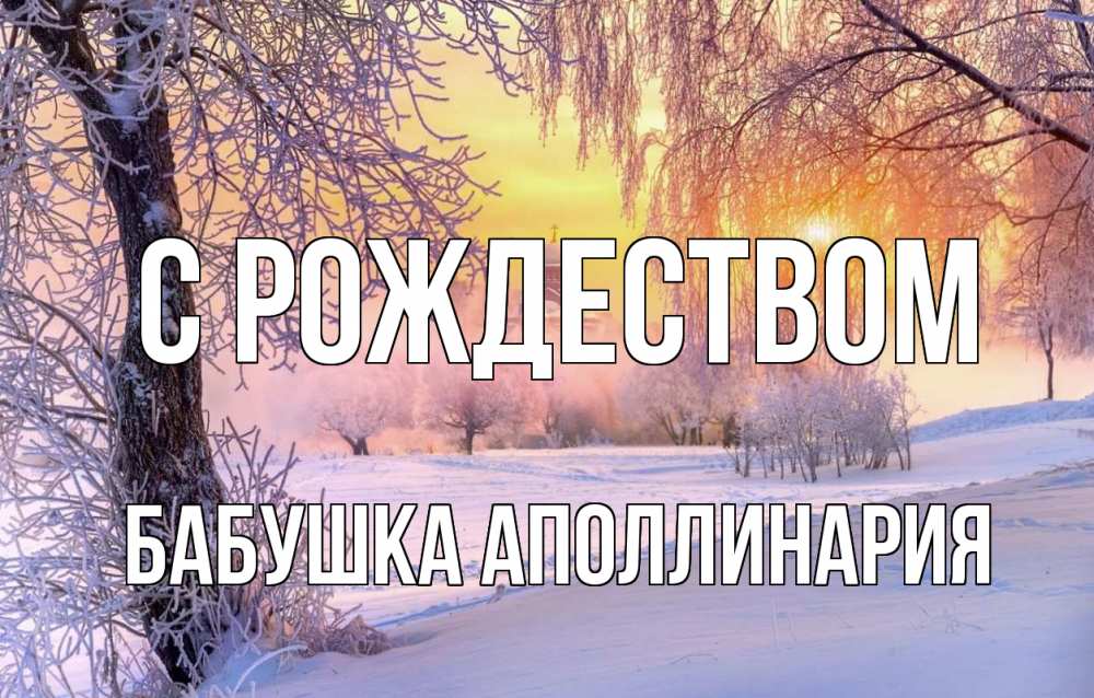 Открытка на каждый день с именем, Бабушка-Аполлинария С рождеством рождество, лес, зима 1 Прикольная открытка с пожеланием онлайн скачать бесплатно 
