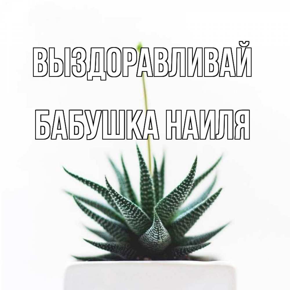 Открытка на каждый день с именем, Бабушка-Наиля Выздоравливай короче это непонятная колючка Прикольная открытка с пожеланием онлайн скачать бесплатно 