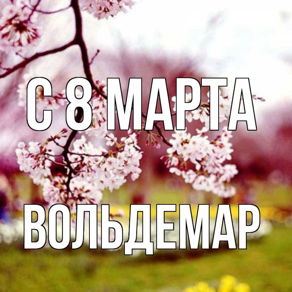 Открытка на каждый день с именем, Вольдемар С 8 МАРТА яблоня Прикольная открытка с пожеланием онлайн скачать бесплатно 