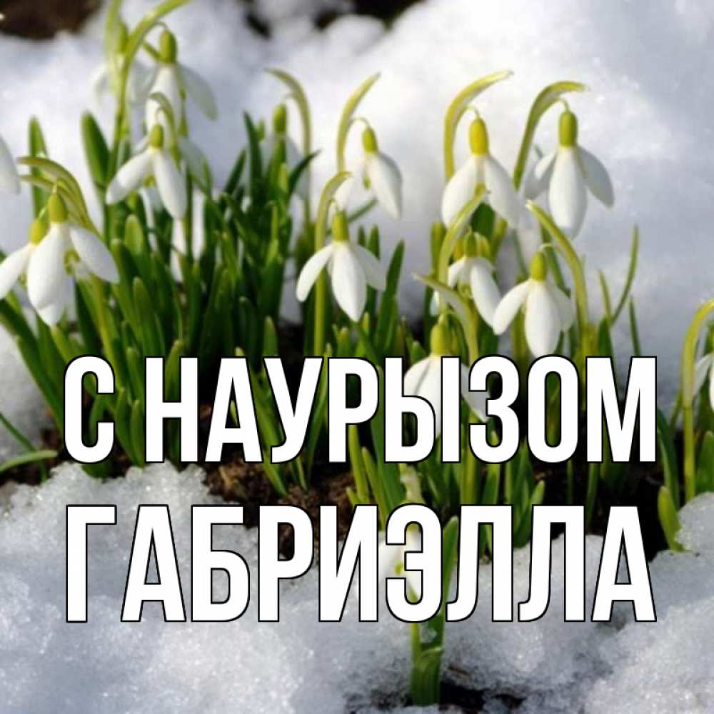 Открытка на каждый день с именем, Габриэлла С наурызом цветы весенние Прикольная открытка с пожеланием онлайн скачать бесплатно 