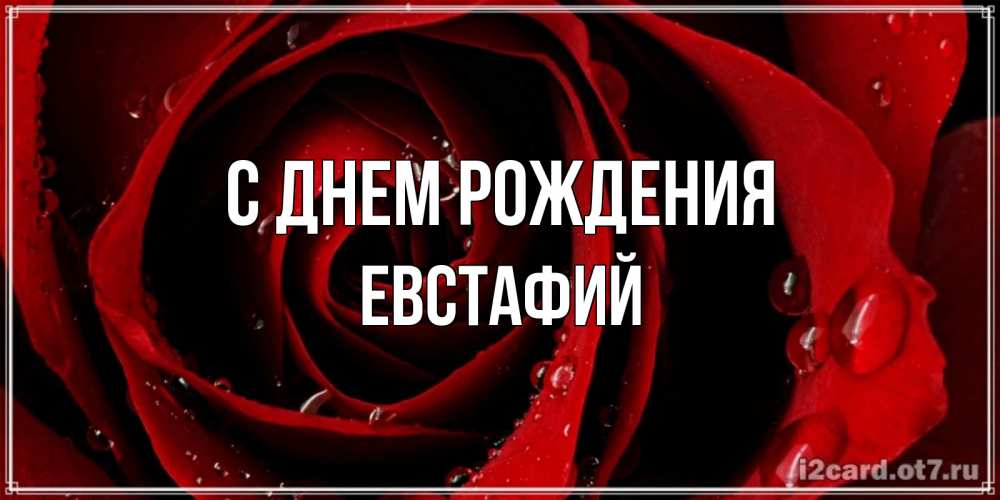 Открытка на каждый день с именем, Евстафий С днем рождения крупная бордовая роза Прикольная открытка с пожеланием онлайн скачать бесплатно 