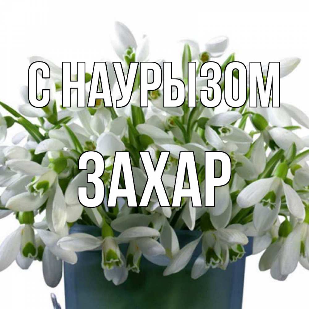 Открытка на каждый день с именем, Захар С наурызом цветы к наурызу новый год в Казахстане Прикольная открытка с пожеланием онлайн скачать бесплатно 