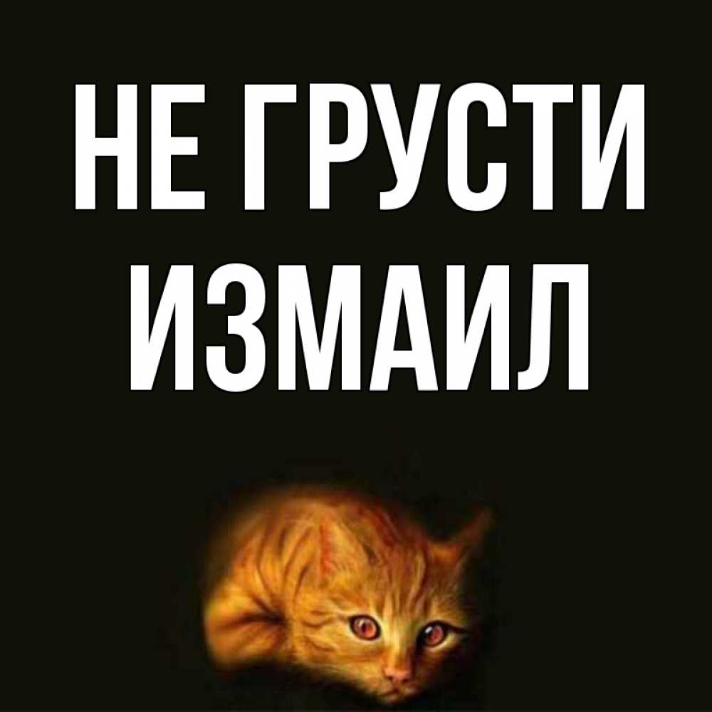 Открытка на каждый день с именем, Измаил Не грусти лежащий кот в темноте Прикольная открытка с пожеланием онлайн скачать бесплатно 