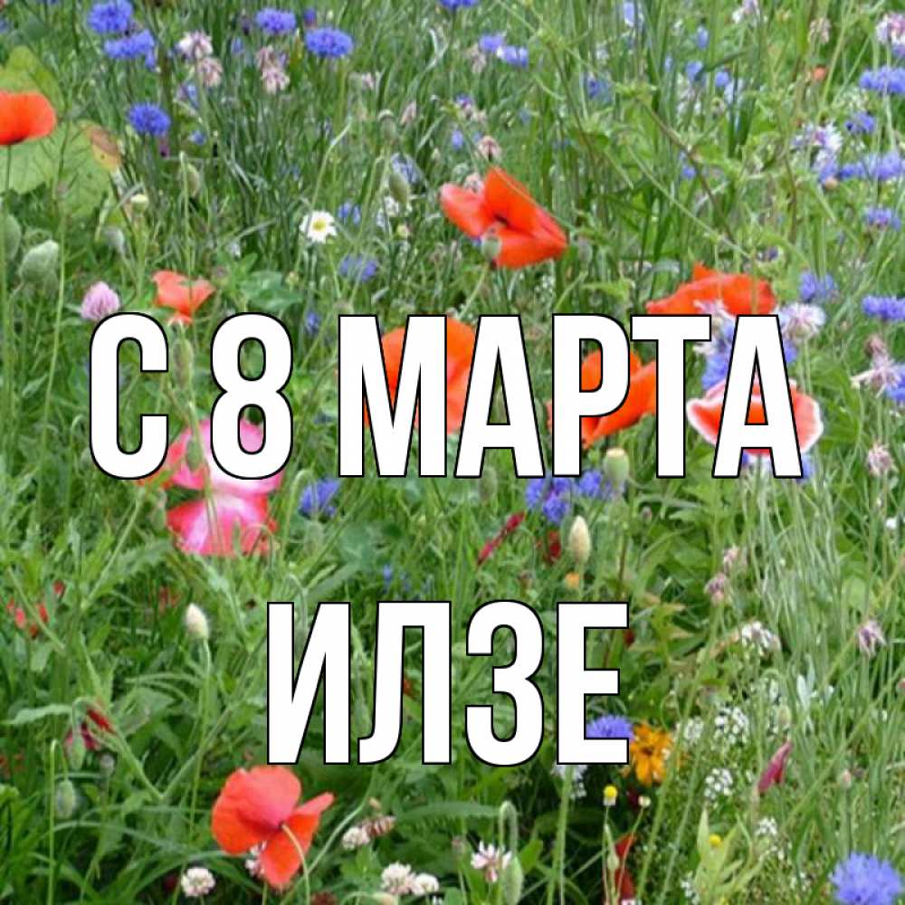Открытка на каждый день с именем, Илзе С 8 МАРТА международный женский день 4 Прикольная открытка с пожеланием онлайн скачать бесплатно 