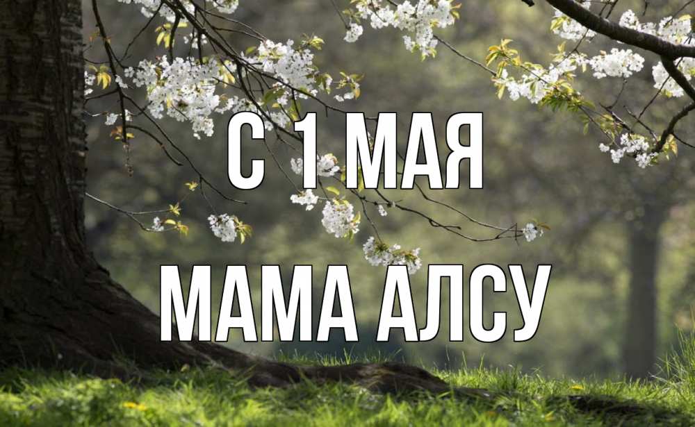 Открытка на каждый день с именем, Мама-Алсу С 1 мая С 1 мая Прикольная открытка с пожеланием онлайн скачать бесплатно 