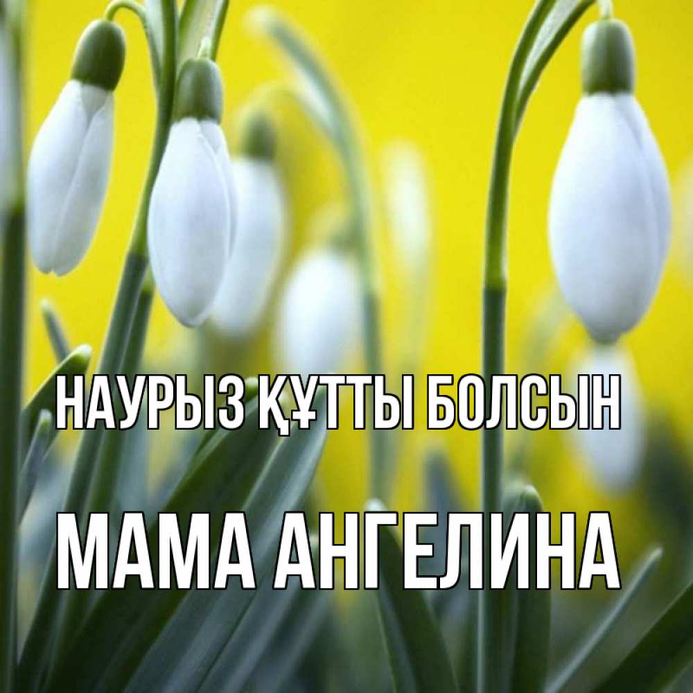 Открытка на каждый день с именем, Мама-Ангелина Наурыз құтты болсын весенние цветы Прикольная открытка с пожеланием онлайн скачать бесплатно 