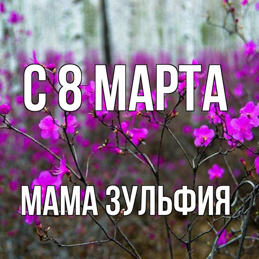 Открытка на каждый день с именем, Мама-Зульфия С 8 МАРТА дикие цветы Прикольная открытка с пожеланием онлайн скачать бесплатно 