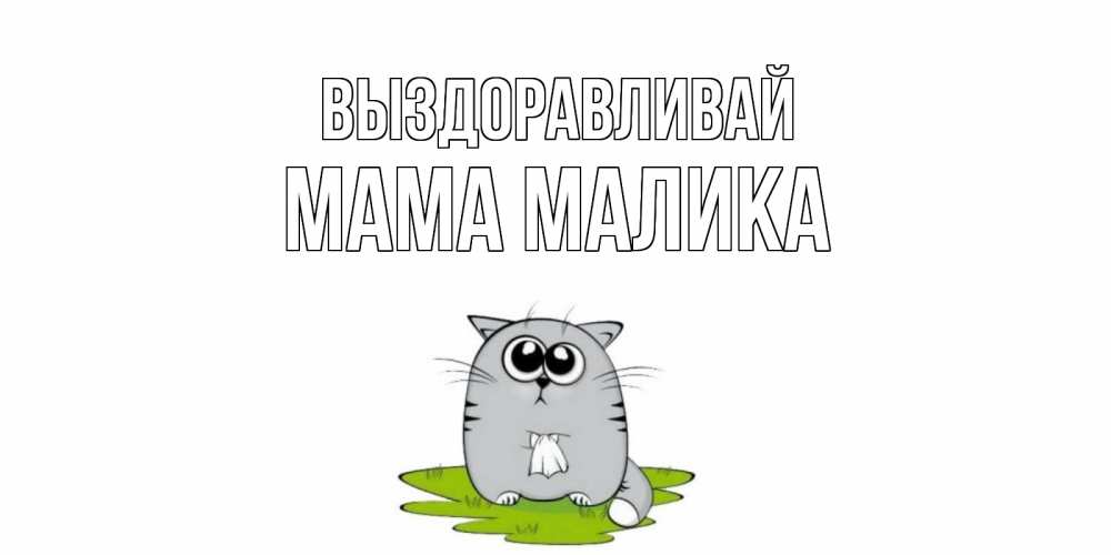 Открытка на каждый день с именем, Мама-Малика Выздоравливай кот и открытки про выздоровление Прикольная открытка с пожеланием онлайн скачать бесплатно 