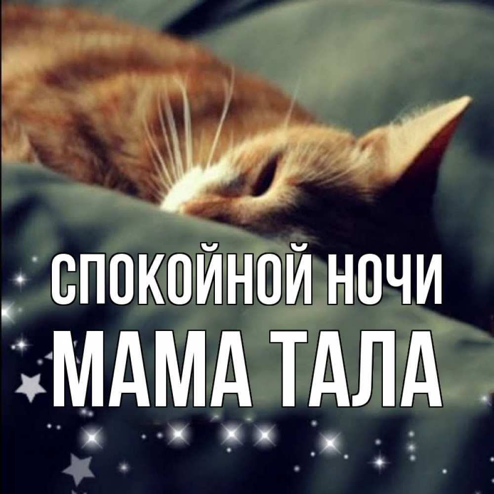 Открытка на каждый день с именем, Мама-Тала Спокойной ночи кроватка Прикольная открытка с пожеланием онлайн скачать бесплатно 