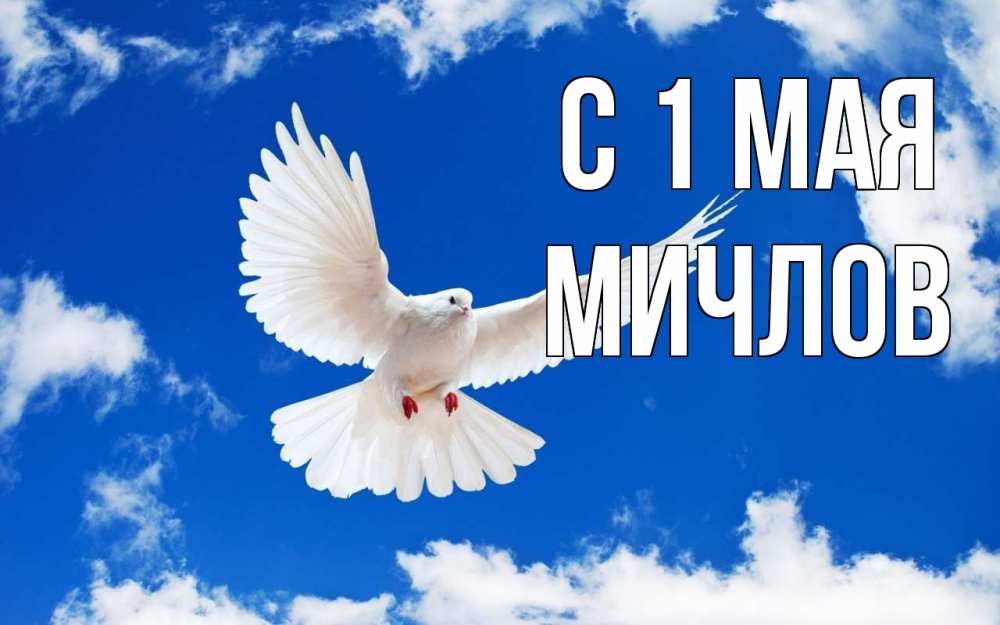 Открытка на каждый день с именем, Мичлов С 1 мая С 1 мая 1 Прикольная открытка с пожеланием онлайн скачать бесплатно 