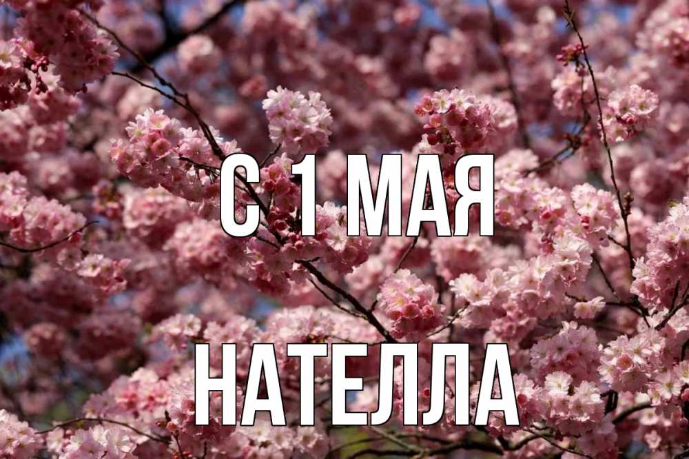 Открытка на каждый день с именем, Нателла С 1 мая С 1 мая Прикольная открытка с пожеланием онлайн скачать бесплатно 