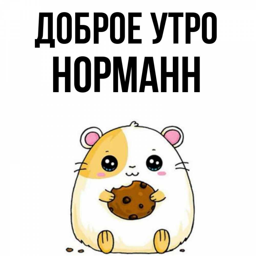 Открытка на каждый день с именем, Норманн Доброе утро есть печеньку. Утречко Прикольная открытка с пожеланием онлайн скачать бесплатно 