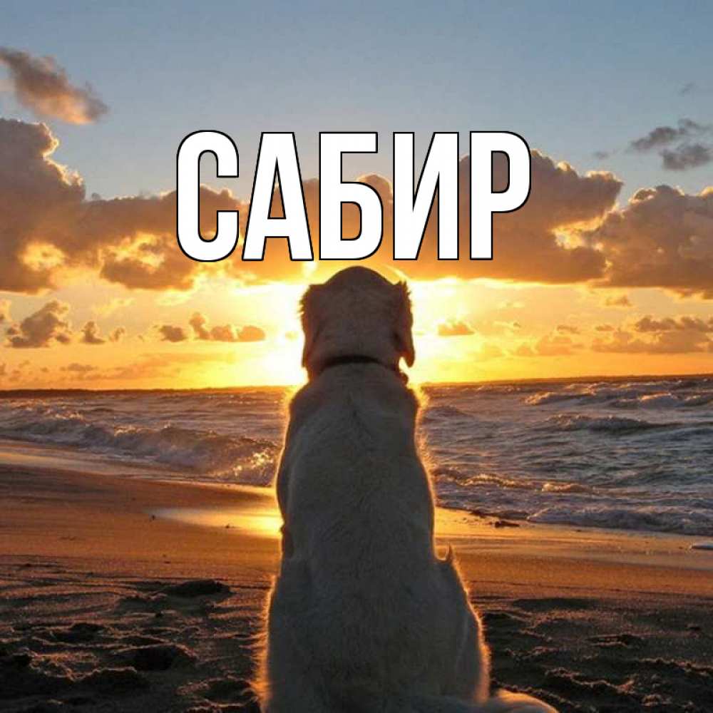 Открытка на каждый день с именем, Сабир Главная восход солнца Прикольная открытка с пожеланием онлайн скачать бесплатно 