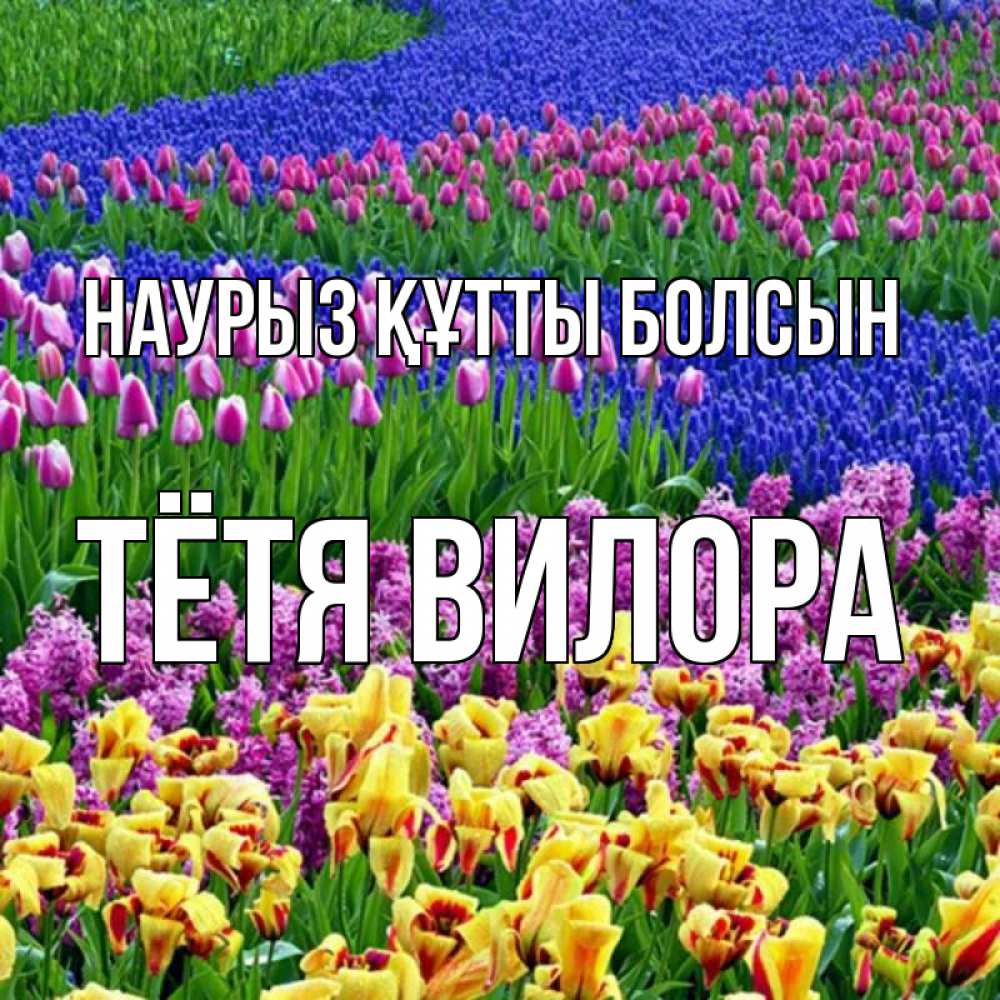 Открытка на каждый день с именем, Тётя-Вилора Наурыз құтты болсын цветы Прикольная открытка с пожеланием онлайн скачать бесплатно 