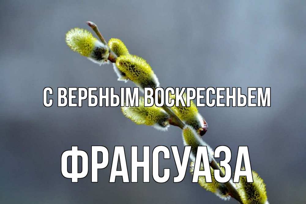 Открытка на каждый день с именем, Франсуаза С вербным воскресеньем верба Прикольная открытка с пожеланием онлайн скачать бесплатно 