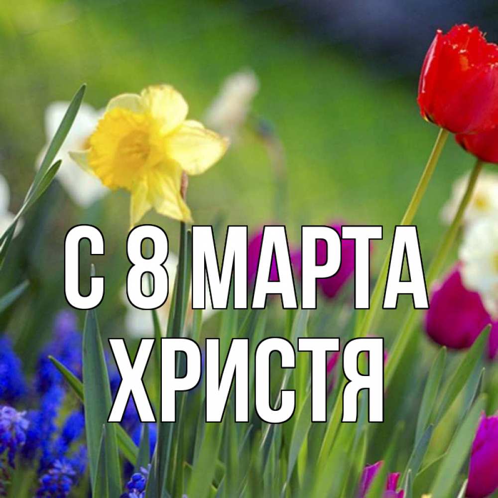 Открытка на каждый день с именем, Христя С 8 марта международный женский день 3 Прикольная открытка с пожеланием онлайн скачать бесплатно 