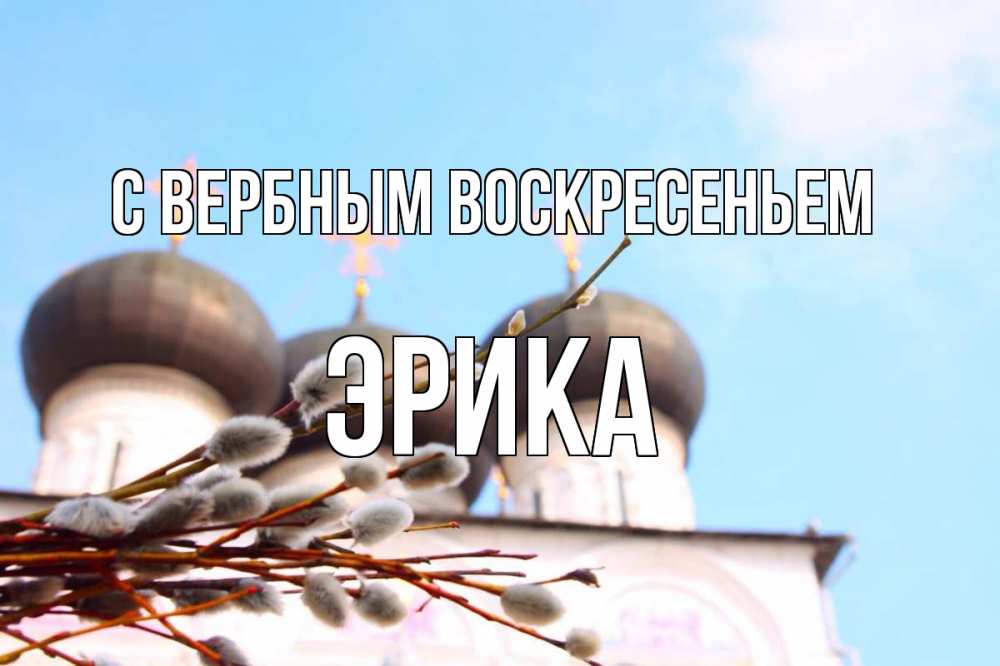 Открытка на каждый день с именем, Эрика С вербным воскресеньем верба Прикольная открытка с пожеланием онлайн скачать бесплатно 