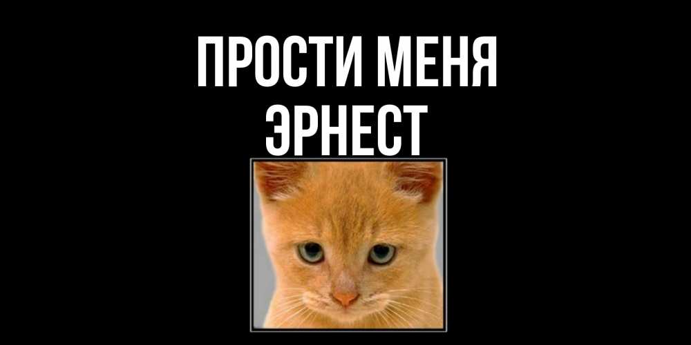Открытка на каждый день с именем, Эрнест Прости меня рыжий грустный кот просит прощения Прикольная открытка с пожеланием онлайн скачать бесплатно 