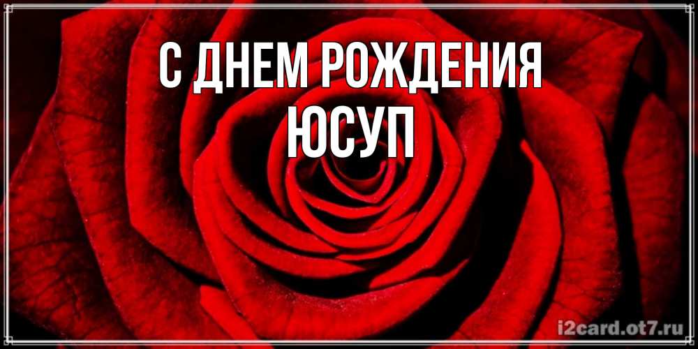 Открытка на каждый день с именем, Юсуп С днем рождения алая роза Прикольная открытка с пожеланием онлайн скачать бесплатно 