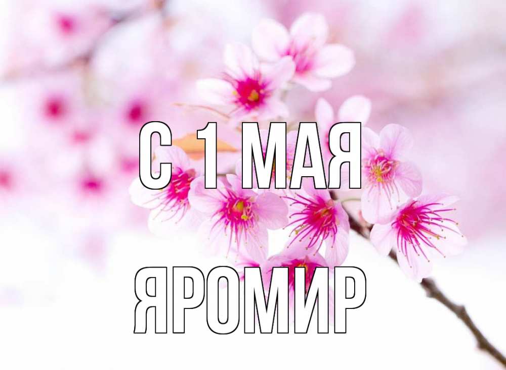 Открытка на каждый день с именем, Яромир С 1 мая С 1 мая 2 Прикольная открытка с пожеланием онлайн скачать бесплатно 