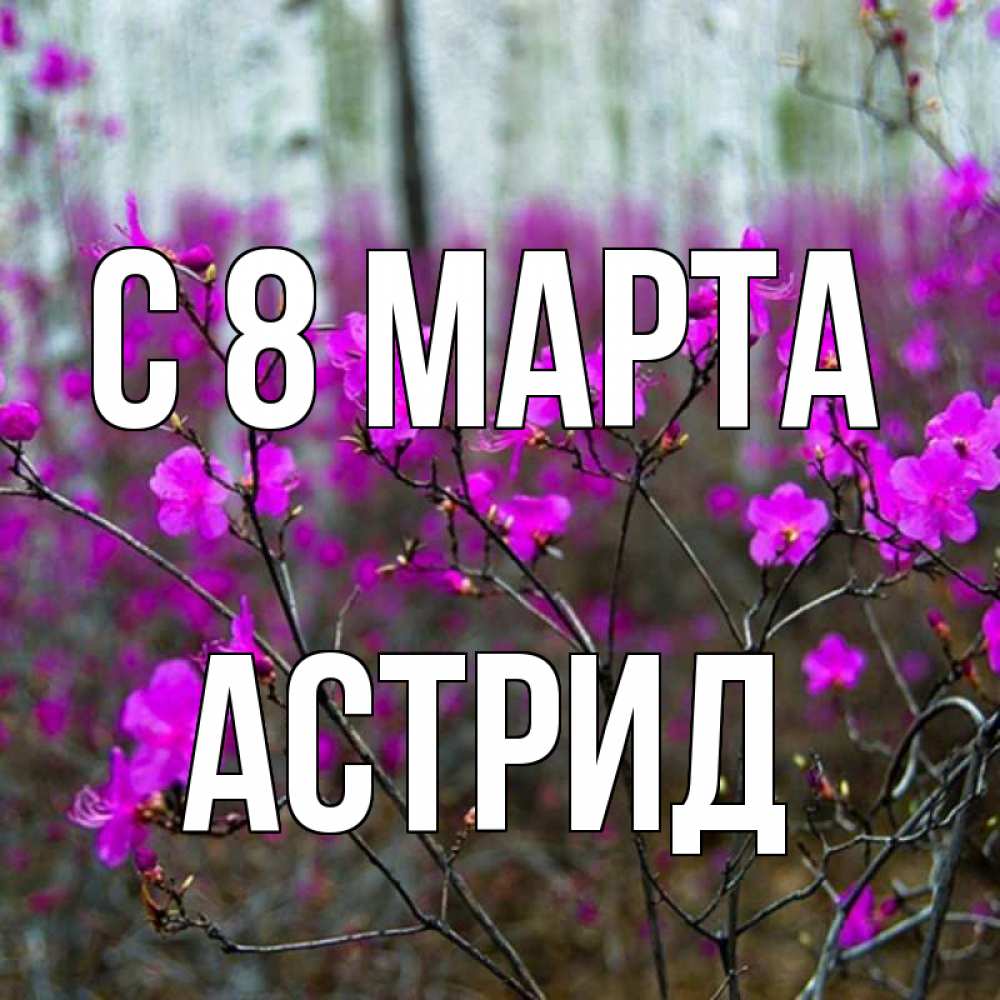 Открытка на каждый день с именем, Астрид С 8 марта дикие цветы Прикольная открытка с пожеланием онлайн скачать бесплатно 