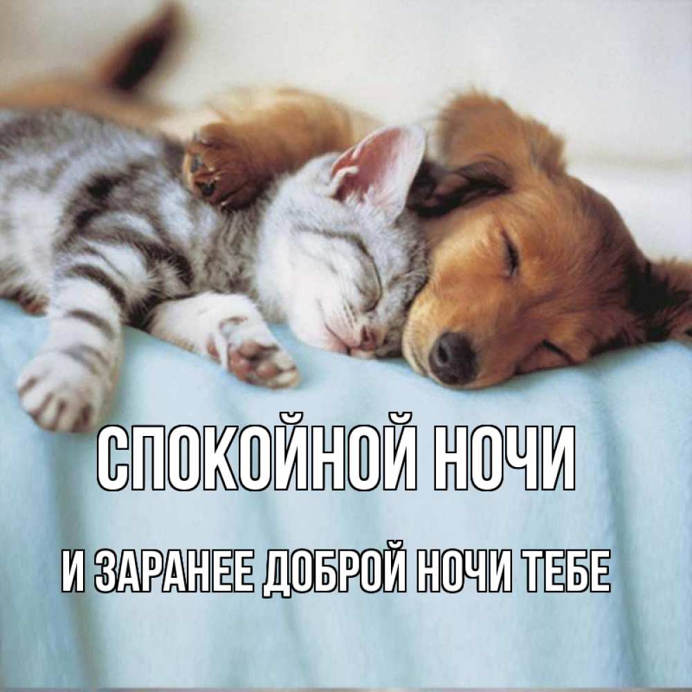 Картинка Спокойной ночи, и заранее доброй ночи тебе