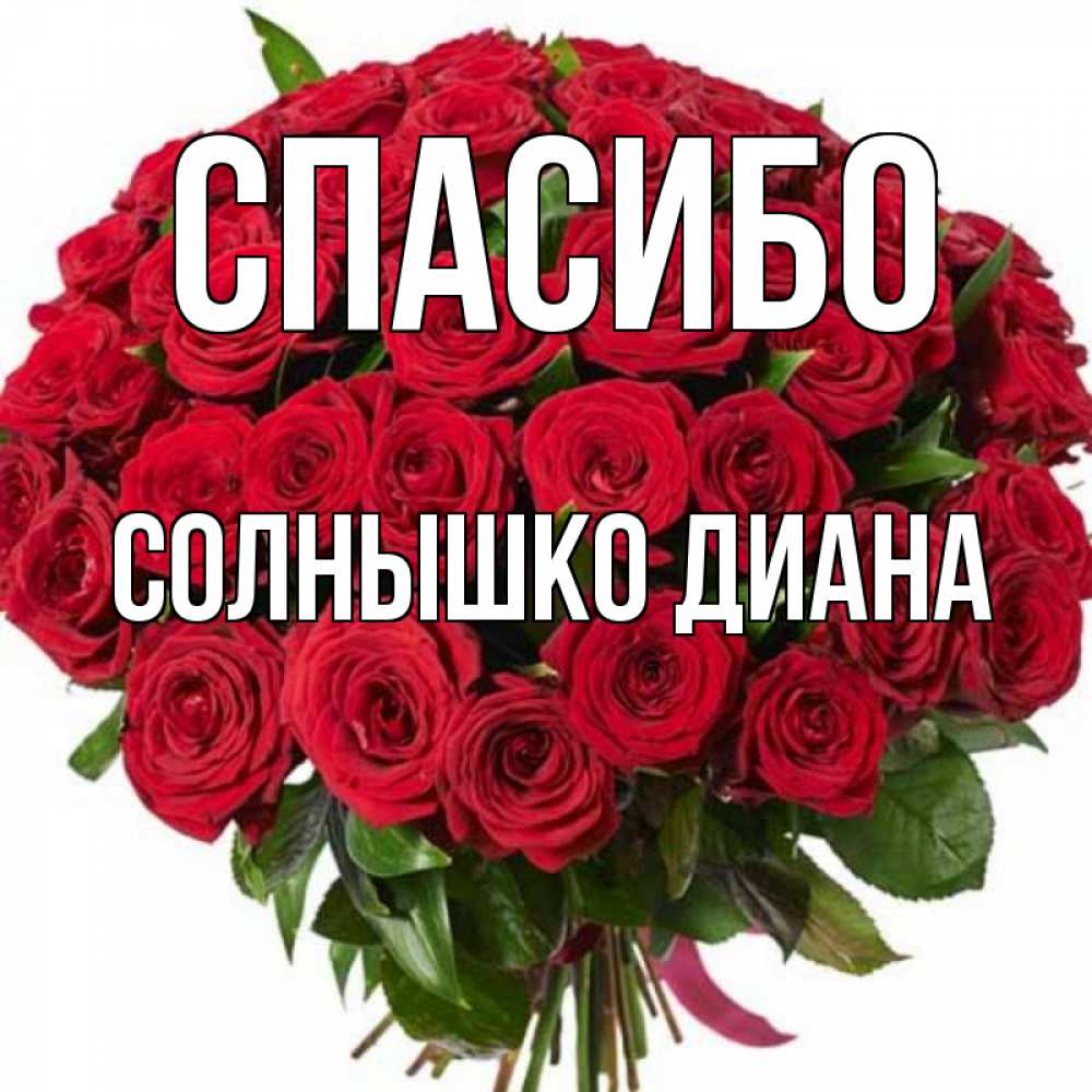 Спасибо солнышко картинки мужчине