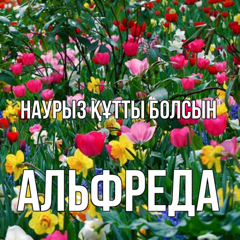 Открытка на каждый день с именем, Альфреда Наурыз құтты болсын с наурызом поздравления для женщины Прикольная открытка с пожеланием онлайн скачать бесплатно 
