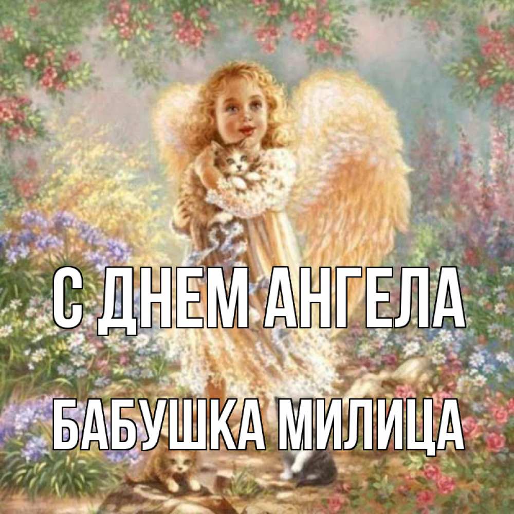 Открытка на каждый день с именем, Бабушка-Милица С днем ангела держит котенка Прикольная открытка с пожеланием онлайн скачать бесплатно 