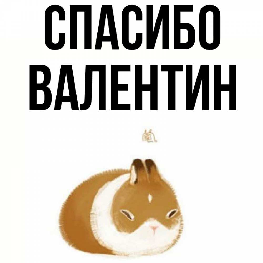 Открытка на каждый день с именем, Валентин Спасибо коричнево белый домашний питомец Прикольная открытка с пожеланием онлайн скачать бесплатно 