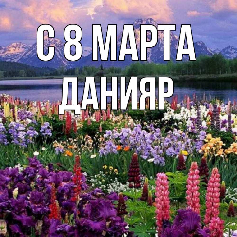 Открытка на каждый день с именем, Данияр С 8 МАРТА международный женский день Прикольная открытка с пожеланием онлайн скачать бесплатно 