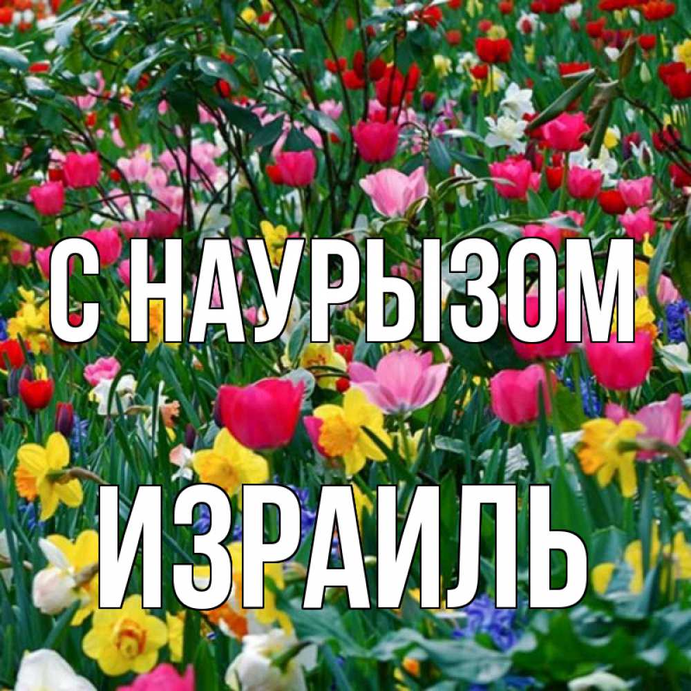 Открытка на каждый день с именем, Израиль С наурызом с наурызом праздником весны поздравления для женщины Прикольная открытка с пожеланием онлайн скачать бесплатно 