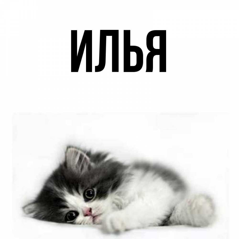 Приколы На Имя Илья